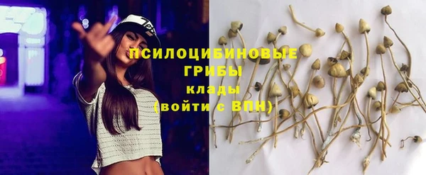наркотики Алексин