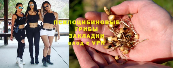 прущие грибы Алексеевка