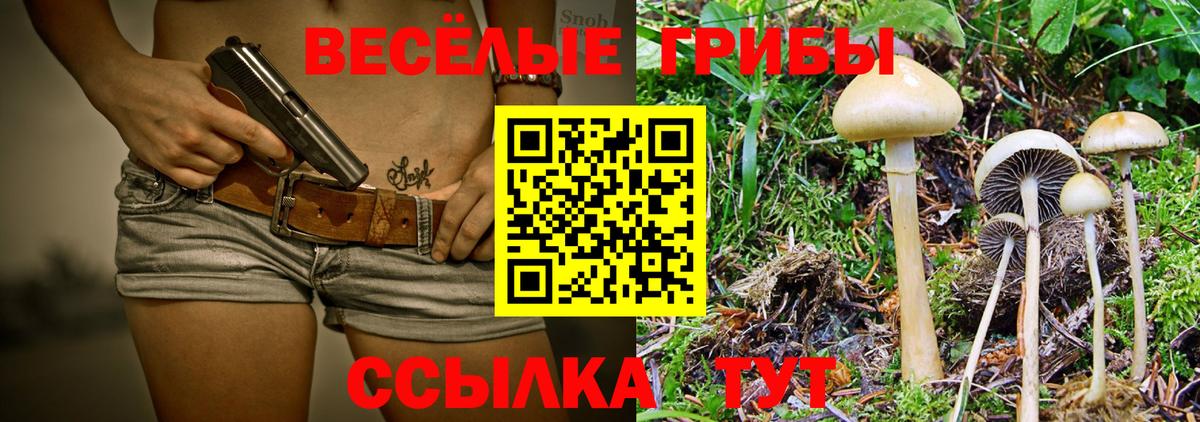 Псилоцибиновые грибы GOLDEN TEACHER Жуковский