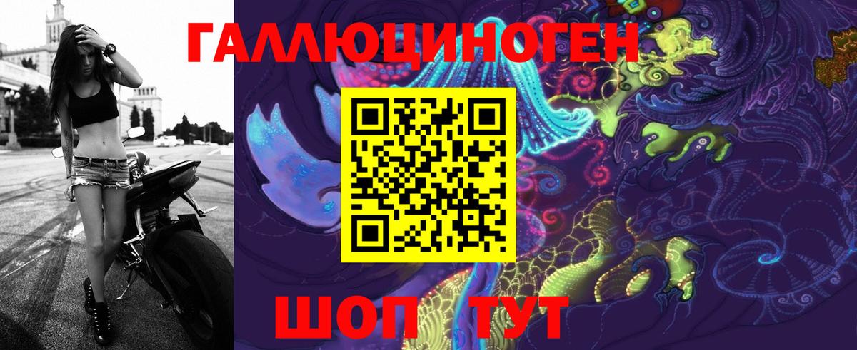 как найти закладки  Псилоцибиновые грибы GOLDEN TEACHER  Жуковский  Вход с VPN  Псилоцибиновые грибы Magic Shrooms 