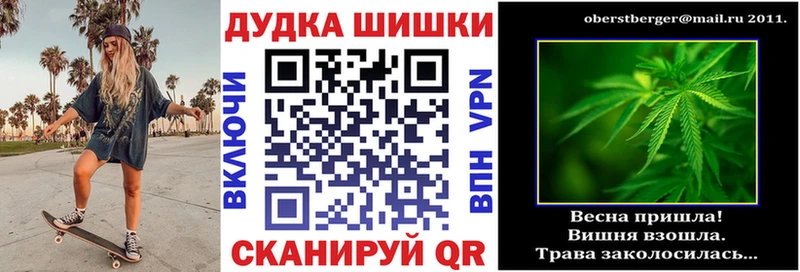 где найти наркотики  Жуковский  Бошки марихуана план 
